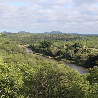 MisskyD's profile picture. There must be more we can do