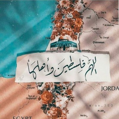 aishaalshekhli's profile picture. 