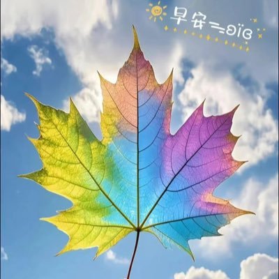 Chenshisan9527's profile picture. 