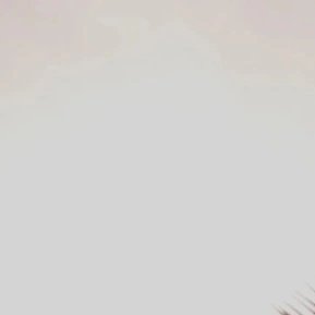 itsmeee157's profile picture. 