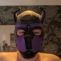 pupmicky2 (@pupmicky2) 's Twitter Profile