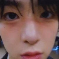 wonnie☆~🦈🧊🤍 (@squirrelhan___) 's Twitter Profile