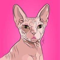 Brandy985747860's profile picture. 