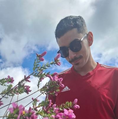 Biologist | Interested in evolution and speciation of insect pollinators| 🐝 🐛 🌻 | he/him Sigam-me os bons!