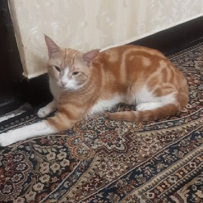 برای بودنت زندگی کن نه برای ماندنت
@tonnel_network