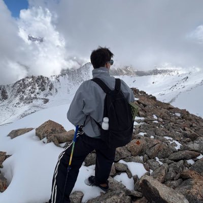 nikvicin's profile picture. web, tech & building