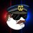 Crypto Cop avatar