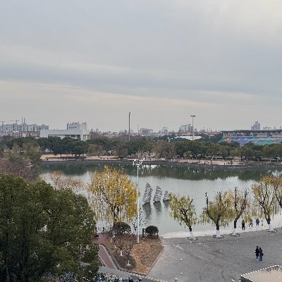 binbinsh1's profile picture. 