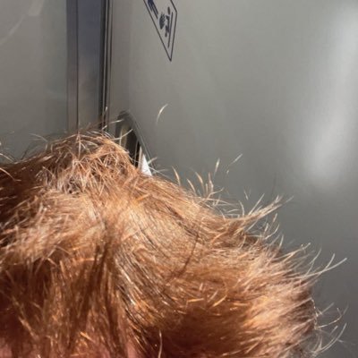 rxjl294's profile picture. 