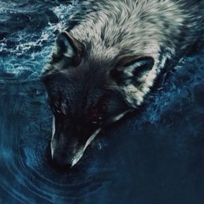 #FIRATYILMAZÇAKIROĞLU