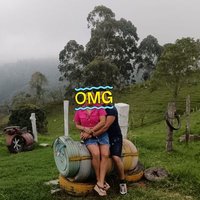 Andrea&cia (@andre_83352) 's Twitter Profile