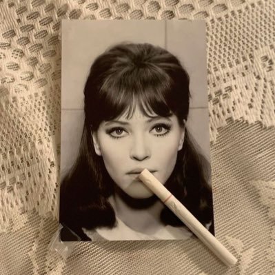 sgartchive's profile picture. and I've always said this: IDOL ft. Stromae, Airplane Pt. 2 ft. Juan Gabriel, and Singularity ft. Angèle