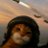 wassupdz's profile image