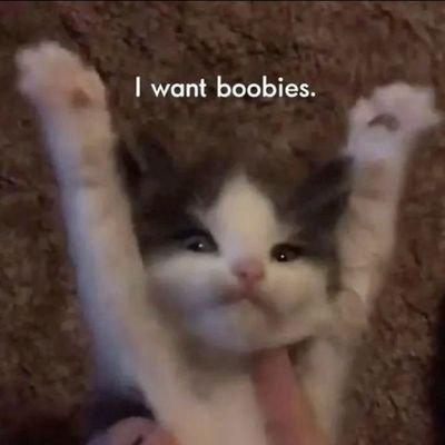 A_3210_alt's profile picture. main account: @A3210_thesilly  ||