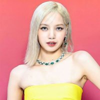 lisa (@lalalisaltwt) 's Twitter Profile