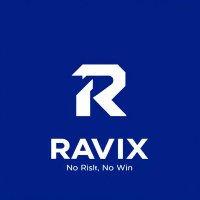 RaviX (@zerionx_) 's Twitter Profile