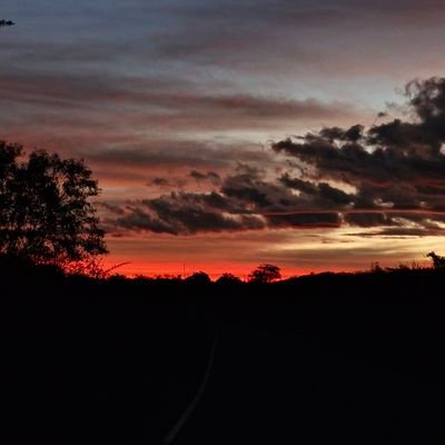 aprendizpgm's profile picture. 