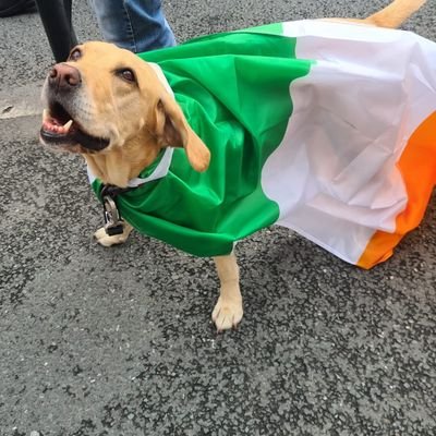 8Ulaseas8's profile picture. evil exists! face it and conquer it. 

@ulseaseofeire - Rev