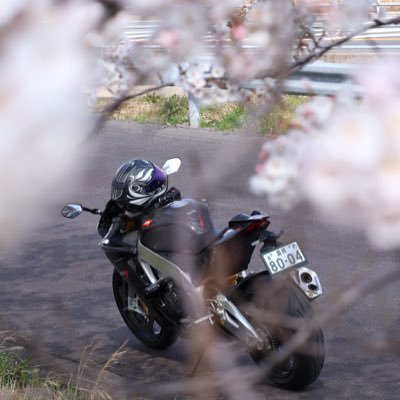 山陰地方に住まう万年初心者ライダー。愛車:RSV4 R 、YZF-R15。カメラ:Canon EOS R50。Instagram始めました。 #こつめフォト サブ垢はこちら→@kotu_nichijou