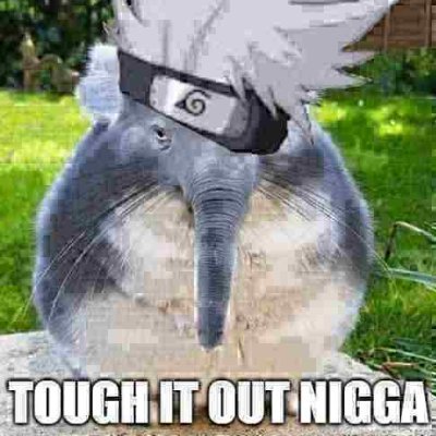 @roundbootynigga