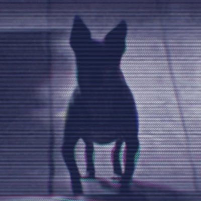 50Cristob's profile picture. i am jack's complete lack of surprise