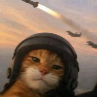 groverflankland's profile picture. search and destroy lieutenant