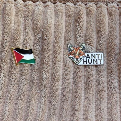 Annainthepark's profile picture. I'm a SOCIALIST ex Labour. WOKE BLM ,PLM ,LOVE PEOPLE ,DISLIKE RACISTS. I will block anyone who puts me on a list. Say no to PAs only Dr's are qualified