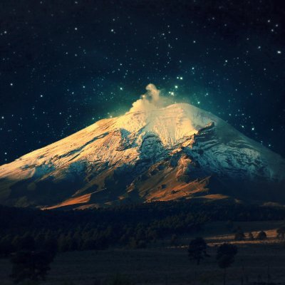 brigitteaub's profile picture. All the thoughts of a turtle are turtles, and of a rabbit, rabbits.