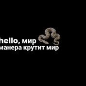 colon98617667's profile picture. Every dog has its day