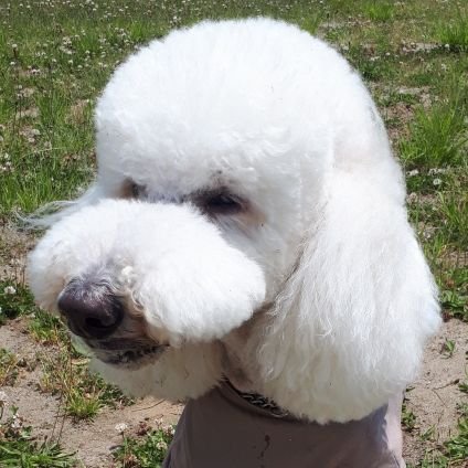 Rinka_1004QB's profile picture. 毎日を頑張ってポジティブに！競輪歴48年の少年A（父）の影響で競輪とMCの皆さま解説者の元選手を応援しています。ゴルフと車も大好きです。好きな言葉は『ありがとう』
気軽にフォローを宜しくお願い致します