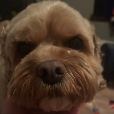 RussWestpeak's profile picture. 
