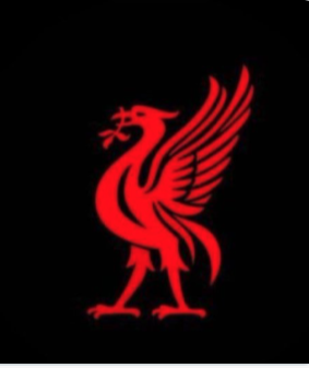 Live Free or Die. Live and Let Live. Anti-Group Think. Independent Thinker. God Given Natural Rights. Liverpool FC, Washington Commanders, Los Angeles Lakers