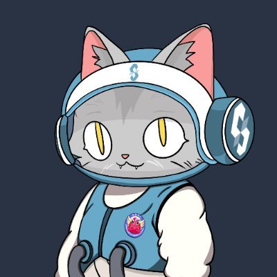 tryaga1nlzzz's profile picture. Proving Succinct 
all in @succinctlabs