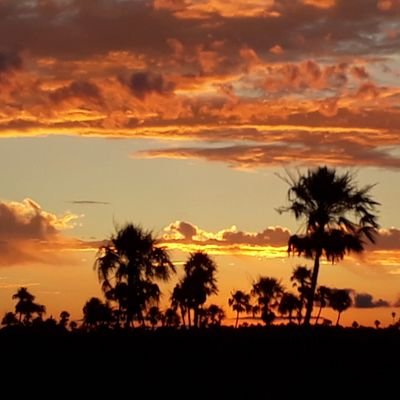baez_atili97932's profile picture. 