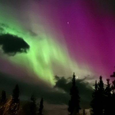 masonzhang98's profile picture. 