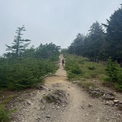UME山活ニキ Profile