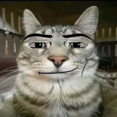 deepfriedcuh's profile picture. someone,
plays Roblox,
likes anime,
big fan of cars, bikes (and aviation),
in love with games,
reposts alot,
loves random stuff,
I breath air,

idek...