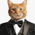 formalcatattire (@formalcatattire) Twitter profile photo formalcatattire (@formalcatattire) Twitter profile photo