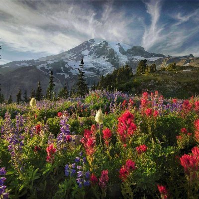 leidy220385's profile picture. Good things come to those who wait