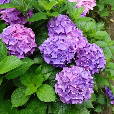 Takeshiさんのプロフィール画像