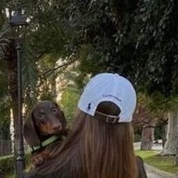 Foxouh839's profile picture. 