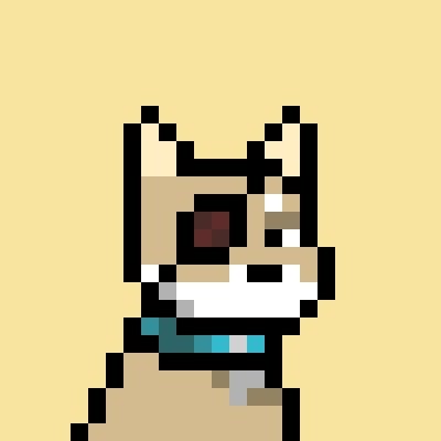 Spaces Co-Host | Animation Specialist | Chief Jawn Officer 🐕