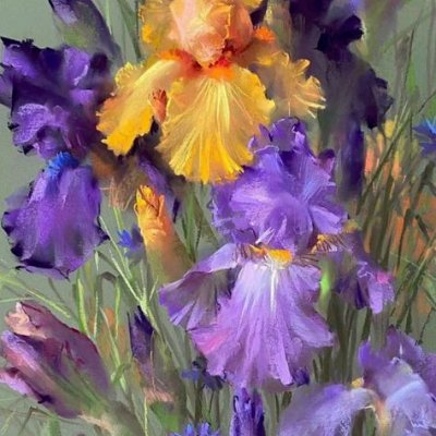 maurivok's profile picture. "There's no smoke without fire