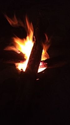 Wild fun #passionate sex #exotic
pyaar se log mujhe bc bolte h......