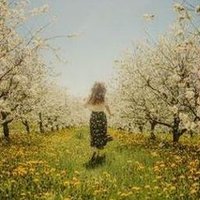 Trawgal (@trawgal4958) 's Twitter Profile