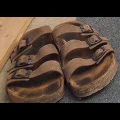 Hasas377's profile picture. הדסי