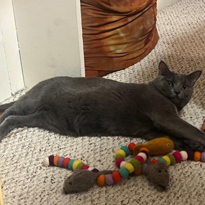 MiriYampol74954's profile picture. 