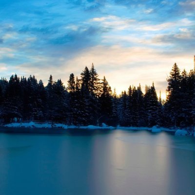 felipe_nasci1's profile picture. La práctica hace al maestro