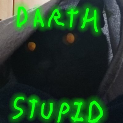 @Catfilth1