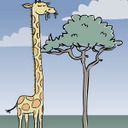 Nikolas Burton - @Pinkguy95 - Twitter